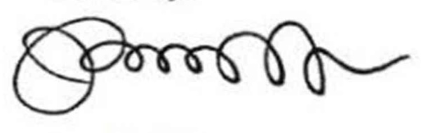lews signature