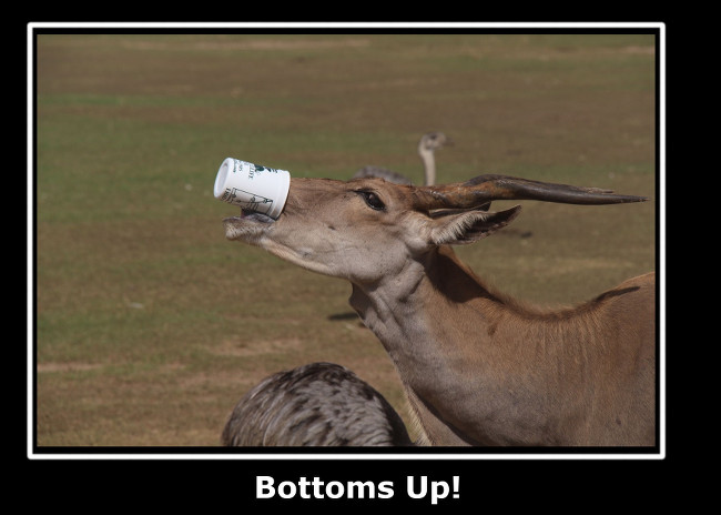bottoms up.